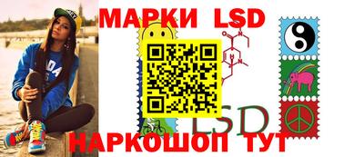 дмт Кингисепп