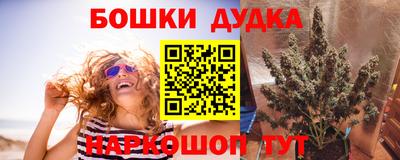 дмт Кингисепп