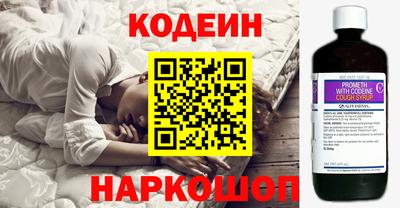 дмт Кингисепп
