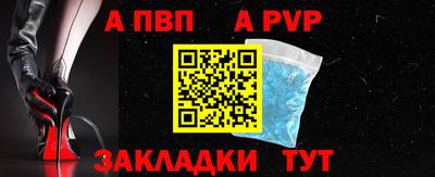 дмт Кингисепп