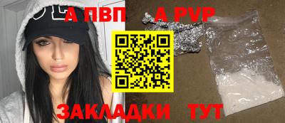 дмт Кингисепп