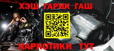 дмт Кингисепп